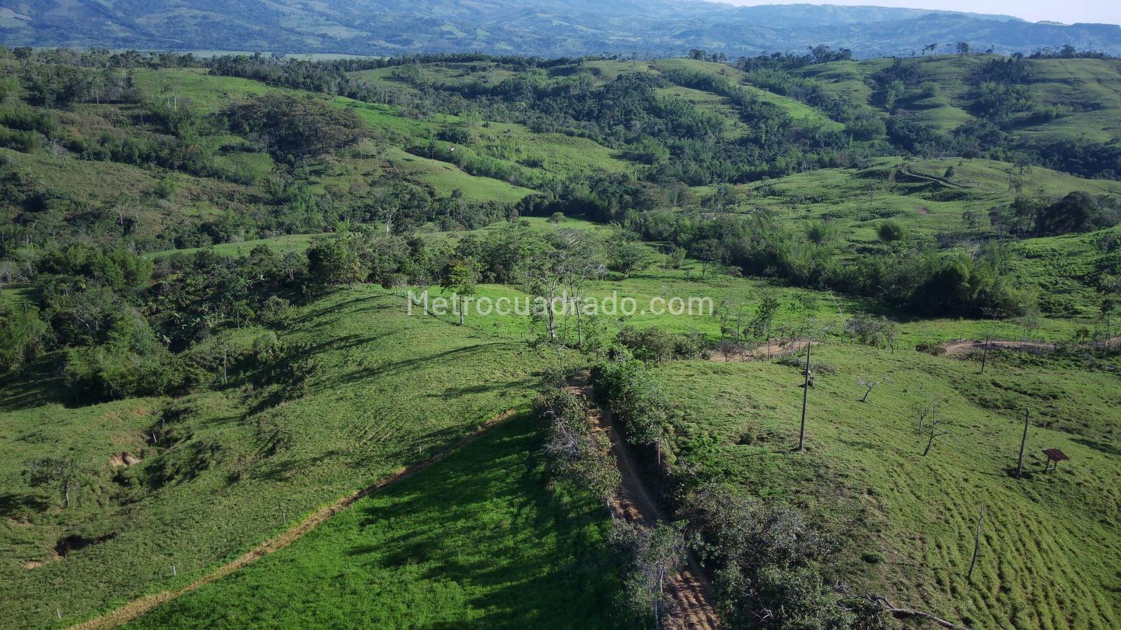 Finca en Venta, Lejanías