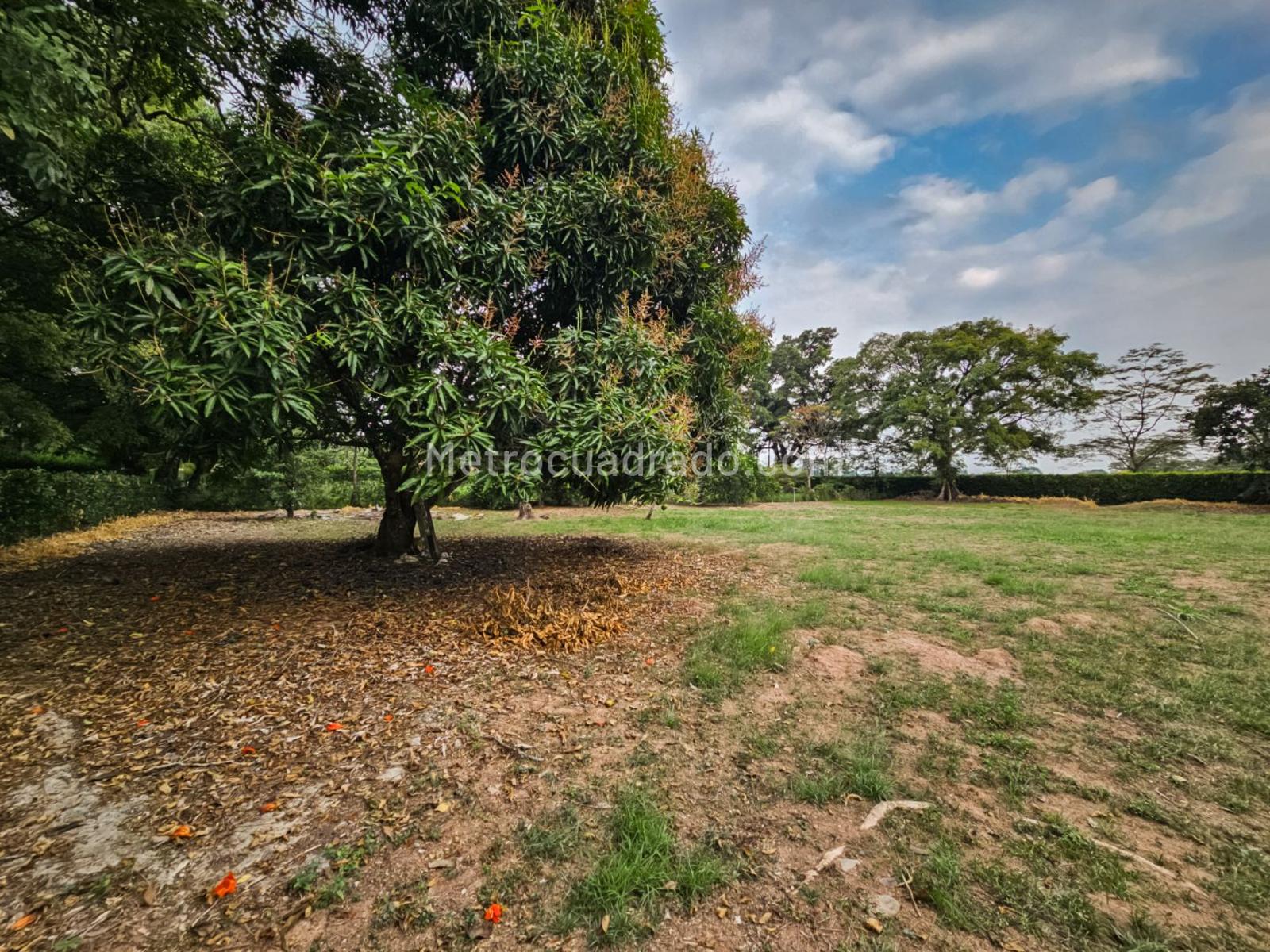 Casa Lote en Venta, Vereda Sardinata, Restrepo